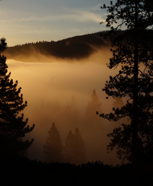 Sunrise Fog, Donner Lake, CA